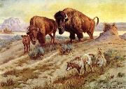 Buffalo Family unknow artist